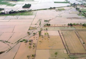 Satuan Tugas (Satgas) Percepatan Rehabilitasi dan Rekonstruksi (PRR) pascabencana Sumatera terus mempercepat rehabilitasi lahan sawah yang rusak akibat bencana hidrometeorologi di Provinsi Aceh, Sumatera Utara (Sumut), dan Sumatera Barat (Sumbar)