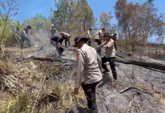 Petugas gabungan berjibaku memadamkan kebakaran hutan dan lahan (Karhutla) yang menghanguskan sekitar lima hektare lahan di Dusun Pasir Putih, Desa Rantekamase, Kecamatan Sumarorong, Mamasa, Kamis (3/9/2026).