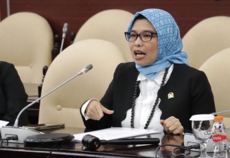Anggota Komisi IX DPR RI Neng Eem Marhamad Zulfa