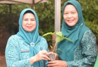 Penyerahan dilaksankan secara simbolis oleh Ketua Tim Penggerak PKK Provinsi Kepri, Dewi Kumalasari Ansar kepada perwakilan masyarakat di UPTD Balai Perbenihan, Pengawasan dan Sertifikasi serta Perlindungan Tanaman Pangan, Hortikultura dan Perkebunan DKP2KH Provinsi Kepri, Tembeling Toapaya, Kabupaten Bintan.