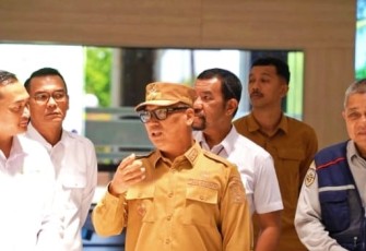 Wakil Gubernur Provinsi Kepulauan Riau, Nyanyang Haris Pratamura
