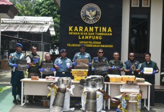 TNI AL Gagalkan Penyelundupan Ratusan Kulit Ular dan Pulhan Kura-kura