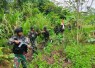 Pasukan TNI saat melumpuhkan lima anggota KKB