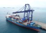 Volume Peti Kemas Pelabuhan Batam Catatan Kinerjanya Positif 