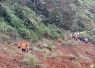 Tim gabungan dibantu warga berupaya melakukan pencarian korban di lokasi kejadian tanah longsor di Desa Bonglo, Kecamatan Bastem Utara, Kabupaten Luwu, Sulawesi Selatan pada Senin (26/2).