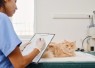 Cara Memilih Obat Diare Kucing yang Aman dan Efektif