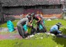 Bantu semai bibit padi
