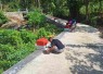 TPJ 6 desa Sukorejo