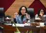 Wakil Ketua Komisi X DPR RI MY Esti Wijayanti