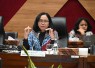 Wakil Ketua Komisi X DPR RI MY Esti Wijayanti