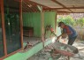 Bantu rehab rumah warga desa binaan