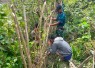 Karya bakti bersama warga perbatasan