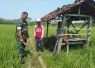 Pembersihan saluran irigasi
