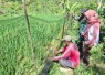 Pendampingan monev IRPOM di wilayah desa binaan