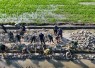 Pembangunan jalan tani desa Tanratuo
