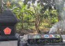 Tugu Brawijaya dan Prasasti TMMD ke-129