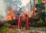 Pemadaman kebakaran hutan