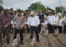 Dukung Ketahanan Pangan, Holding Perkebunan Nusantara Lewat PalmCo Perkuat Kemitraan Petani di Jambi