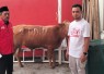 DPD PDI Perjuangan Jawa Timur menyalurkan 468 ekor sapi kurban ke berbagai daerah di Jawa Timur pada momentum Hari Raya Idul Adha 1447 Hijriah