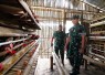 Pangdam I/BB Mayjen TNI Hendy Antariksa melaksanakan kunjungan kerja ke Yonif TP 906/SLG di Desa Binanga Boang, Kecamatan Salak, Kabupaten Pakpak Bharat, Kamis (2/7/2026)