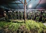 Satgas Pamtas RI–PNG Mobile Yonif 725/Woroagi Komando Operasi (Koops) TNI Habema berhasil menemukan 5.000 batang tanaman ganja di dua lokasi di Kabupaten Yahukimo, Papua Pegunungan, Senin (13/07/2026)