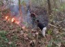 im Gabungan Padamkan Kebakaran Hutan di Trenggalek