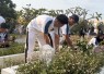 Kantor Imigrasi Tanjung Uban Gelar Aksi Kebersihan di Taman Makam Pahlawan Dwikora