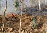 Sinergi TNI, Polri dan Unsur Terkait Atasi Kebakaran Hutan di Wilayah Ponorogo