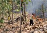Babinsa Kodim Ponorogo dan Unsur Terkait Gerak Cepat Padamkan Kebakaran Hutan 