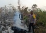 Penanganan Karhutla Hari Ke-enam, Brimob Kembali Turun di Biak 