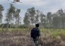 Cegah Karhutla Sejak Dini, TNI Intensifkan Patroli Udara di Taman Nasional Way Kambas