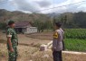 Babinsa Pelda Suhadi Pantau Kebakaran Hutan Rakyat 1 Hektar di Arjosari Pacitan