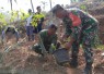 Peringati HUT ke 81 TNI, Kodim Ponorogo Tanam 1050 Bibit Pohon Secara Serentak