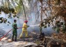 Babinsa dan Damkar Gerak Cepat Padamkan Kebakaran Lahan Jati di Dolopo