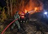 Lalai Mengawasi Pembakaran Sampah, Lahan Bambu Warga Balerejo Terbakar