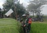 Pendampingan petani desa binaan