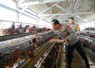 Kapolda Metro Jaya Komjen Pol Asep Edi Suheri