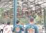 Lomba Burung Kicau Dandim Cup III Tingkat Nasional