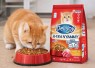 Jangan Asal Pilih! Ini Rekomendasi Dry Food Kucing Bernutrisi Tinggi