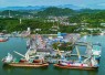 PT Pelindo Multi Terminal