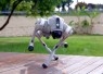 Robot Unitree Go2 untuk Edutainment dan Interaksi Publik