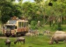 Taman Safari Indonesia Siap Dukung Transformasi Kebun Binatang Bandung sebagai Lembaga Konservasi Modern