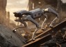 Unitree As2 Resmi Hadir di Indonesia: Robot Quadruped Industri di Kelas Harga Baru