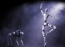 Unitree masuk Indonesia lewat Halo Robotics, hadirkan robot humanoid & quadruped untuk industri, keamanan, dan riset AI.